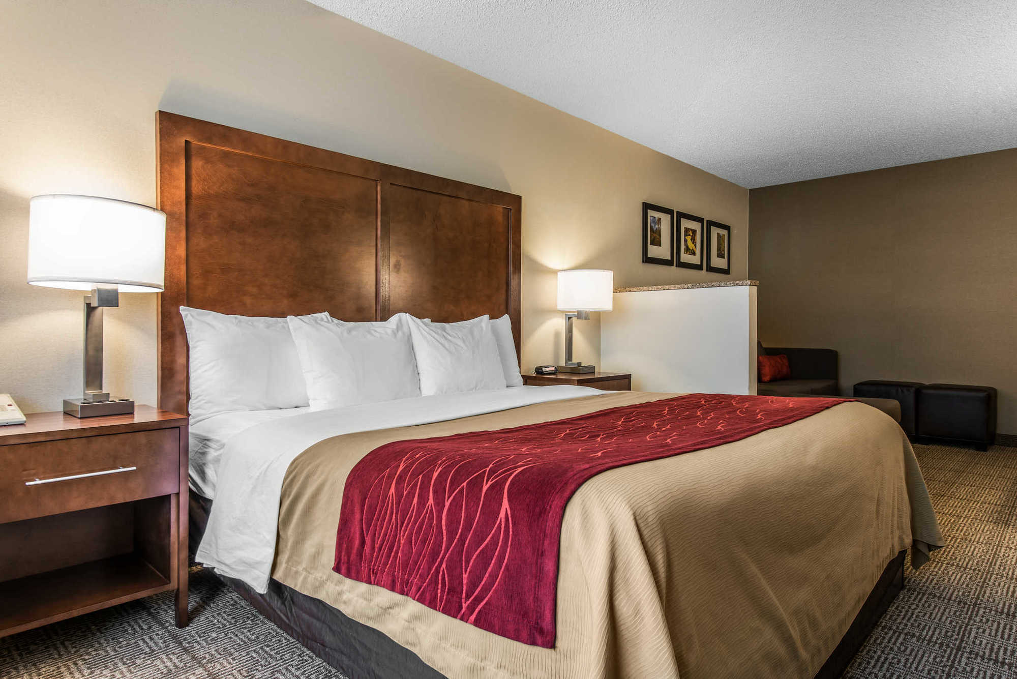 Comfort Inn Denver West Arvada Station Wheat Ridge Rom bilde